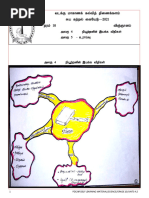 Grade 10 Units 4,5