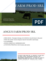 Angus Farm Prod SRL