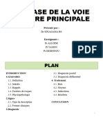 Lithiase de La Voies Biliaire Principale - Copie