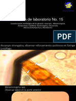 Final Parasitología II Lab 2021