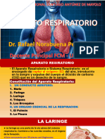 Aparato Respiratorio 2