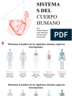 Anatomy Infographics by Slidego