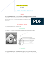 Exposé Sur Les Protozoaires