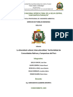 Informe Dpi Ultimo