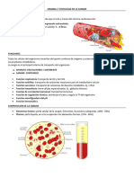 Resumen Fisiologia de La Sangre y Hemoglobina