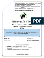 Mémoire PDF Finali