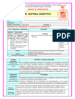 Sesion Ciencia Tecnologia T El Sistema Digestivo Maestras de Primaria Del Peru