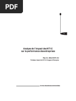 Analyse de L'impact Des Ntic Sur La Performance Des Entreprises