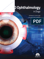 3D Ophthalmology in Dogs