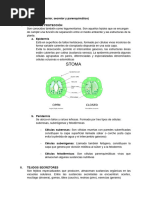 Tejido Vegetal II (Protector, Secretor y Parenquimático)