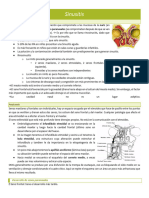 TCP Otorrino Sinusitis