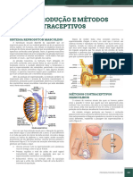 Bio017 - Reprodução e Métodos Contraceptivos