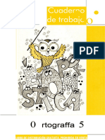 5to Cuaderno Ortografia