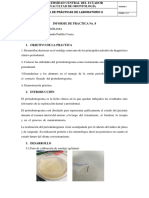 Informe de Practica Perio