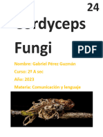 Cordyceps