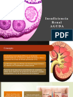 Insuficiencia Renal Aguda