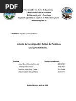 Investigación Del Cultivo de Persimon