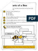 Parts of A Bee