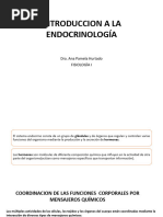 CT.24 Introducción A La Endocrinología