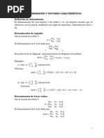 Determinantes