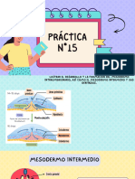 Sistema Urogenital