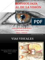 NEUROFISIOLOGÍA CENTRAL DE LA VISIÓN - Estudiantes