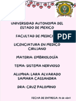 Documento