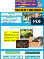 GRUPO 1 Animales Ofidios y Ponzoñosos