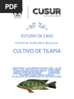 Estudio de Caso