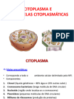 Citoplasma e Organelas Citoplasmáticas