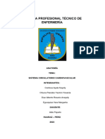 Monografía Del Sistema Circulatorio (ROSARIO)