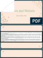 Mitosis A ND Meiosis 2