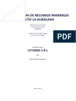 Final - Estimacion de Recursos Minerales La Auracana 2024