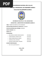 INFORME N°1 - Tamaño de Partículas Por Tamizado - Grupo N°2