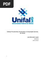 Células Procariontes, Eucariontes e Composição Química Da Célula