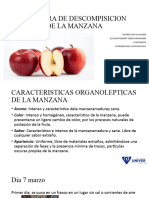 Bitacora de Descompisicion de La Manzana