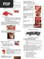 Lesson 3 - Prepare Meat Dishes Notes