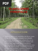 Plantaciones Forestales