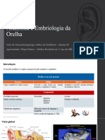 Anatomia e Emb Orelha