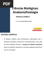 Sistema Linfático