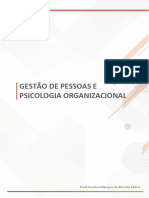 Aula 4 GESTÃO DE PESSOAS E PSICOLOGIA ORGANIZACIONAL