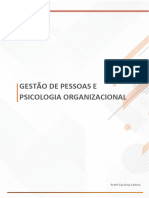 Aula 2 GESTÃO DE PESSOAS E PSICOLOGIA ORGANIZACIONAL