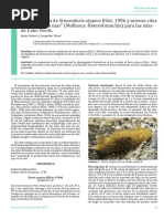 Redescripción de Staurodoris Atypica Eliot, 1906 y Nuevas Citas de "Lesmas Do Mar" (Mollusca: Heterobranchia) para Las Islas de Cabo Verde