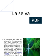 La Selva