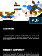 Métodos para Determinar La Distribución Longitudinal de Pesos