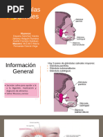 Glándulas Salivales Prev - PPTX - 20231003 - 134639 - 0000