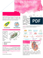 Estructura y Funcion Celular