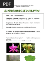 Plantas