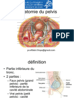 Anatomie Pelvis Bassin 2023 E