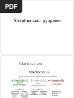 Streptococcus Pyogenes